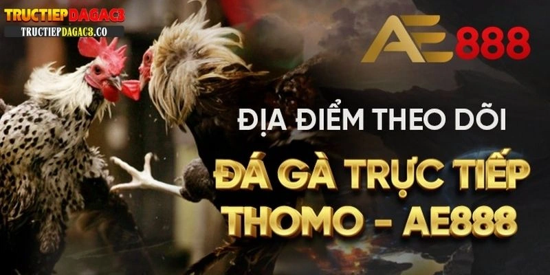 Trực tiếp đá gà C3