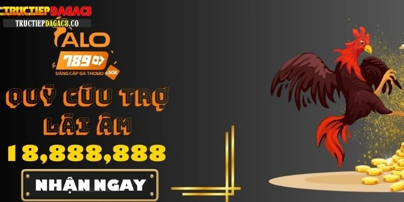 Trực tiếp đá gà C3